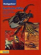 Exotische Käfer: Pflege und Zucht von Rosen- und Riesenkäfern im Terrarium