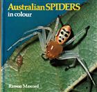 Australian Spiders in Colour