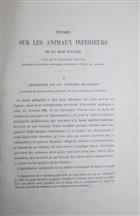 Etudes sur les Animaux Inferieurs de la Baie d'Alger