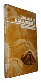 Balanus balanoides