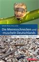 Die Meeresschnecken und -muscheln Deutschlands: Finden - Erkennen - Bestimmen