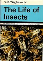 The Life of Insects