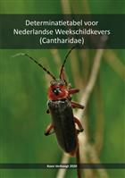 Determinatietabel voor Nederlandse Weekschildkevers (Cantharidae)