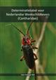 Determinatietabel voor Nederlandse Weekschildkevers (Cantharidae)