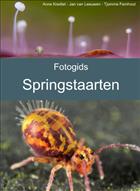 Fotogids Springstaarten (Collembola)