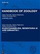 Annelida: Band 3:Pleistoannelida, Sedentaria III and Errantia I (Handbook of Zoology)