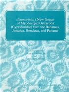 Jimmorinia, a New Genus of Myodocopid Ostracoda (Cypridinidae) from the Bahamas, Jamaica, Honduras and Panama