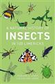 A Natural History of Insects in 100 Limericks