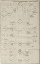 Plantarum Umbelliferarum distributio nova, per tabulas cognationis et affinitatis ex libro naturae observata & detecta