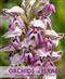The Orchids of Israel