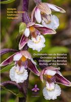 Orchideeën van de Benelux Veldgids / Orchids of Benelux Field Guide / Orchidées du Benelux Guide de Terrain / Orchideen des Benelux Feldführer