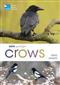 RSPB Spotlight Crows