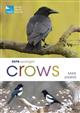 RSPB Spotlight Crows