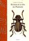 Revision de la Tribu des Phantasini