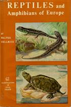 Reptiles and Amphibians of Europe