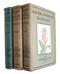 Wayside and Woodland Blossoms A Guide to British Wild Flowers. Series I-III