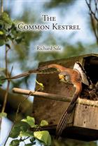 The Common Kestrel