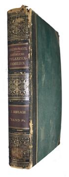 Die natürlichen Pflanzenfamilien nebst ihren Gattungen und wichtigeren Arten. Bd 19a. Angiospermae: Pandales; Geraniales, Geraniineae (erster Teil)