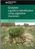 Grasses: A guide to identification using vegetative characters