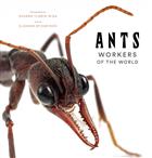 Ants: Workers of the World