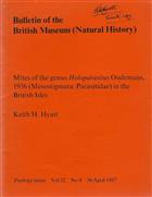 Mites of the genus Holoparasitus Oudemans, 1936 (Mesostigmata: Parasitidae) in the British Isles