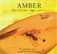 Amber: The Natural Time Capsule