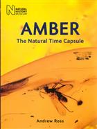Amber: The Natural Time Capsule