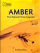 Amber: The Natural Time Capsule