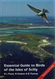Essential Guide to Birds of the Isles of Scilly