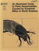 An Illustrated Guide to Plant Abnormalities Caused by Eriophyid Mites in North America