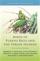 Birds of Puerto Rico and the Virgin Islands: