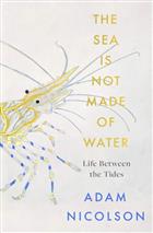 The sea is not made of water: Life Between the Tides