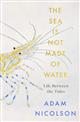 The sea is not made of water: Life Between the Tides
