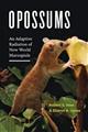 Opossums: An Adaptive Radiation of New World Marsupials