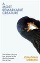 A Most Remarkable Creature: The Hidden Life and Epic Journey of the World's Smartest Bird of Prey