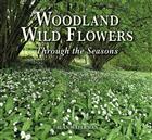 Woodland Wild Flowers Through the Seasons