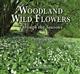 Woodland Wild Flowers Through the Seasons