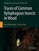 Traces of Common Xylophagous Insects in Wood: Atlas of Identification - Western Europe