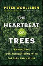 The Heartbeat of Trees: Embracing Our Ancient Bond with Forests and Nature