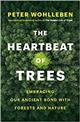 The Heartbeat of Trees:<b/> Embracing Our Ancient Bond with Forests and Nature