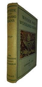 Wayside and Woodland Ferns: A Guide to the British Ferns Horsetails and Club-Mosses