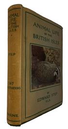 Animal Life of the British Isles