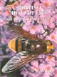 British Hoverflies 2nd Supplement