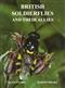 British Soldierflies and their Allies: An Illustrated Guide to Their Identification and Ecology