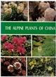 Alpine Plants of China