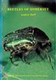 Beetles of Somerset: their status and distribution