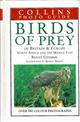 Collins Guide to the Birds of Prey of Britain and Europe, North Africa and the Middle East