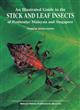 An Illustrated Guide to the Stick and Leaf Insects of Peninsular Malaysia and Singapore