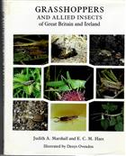 Grasshoppers and Allied Insects of Great Britain and Ireland