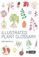 Illustrated Plant Glossary